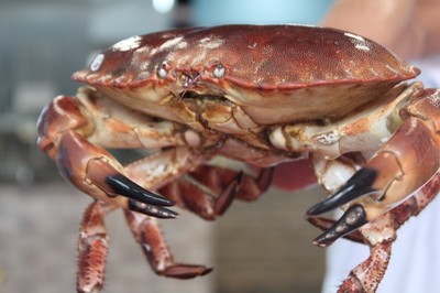 低至6.8折！徹底被啟東這家蒸汽海鮮店'蒸'服！