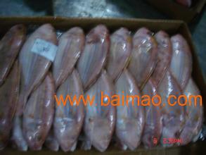 青島進(jìn)口海鮮清關(guān)代理公司 生產(chǎn)廠家、價(jià)格與海鮮進(jìn)口全解析